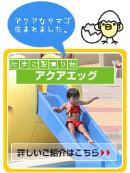 ���܂��^�����@�A�N�A�G�b�O